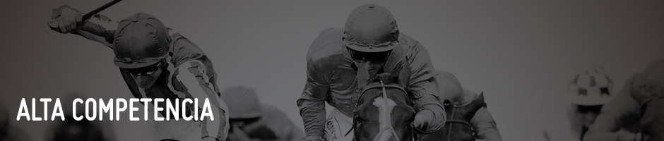 Alta Competencia